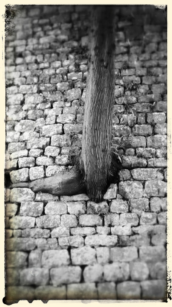 IMG_20150717_143246379~2