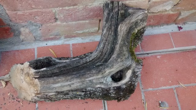 IMG_20150722_095028353